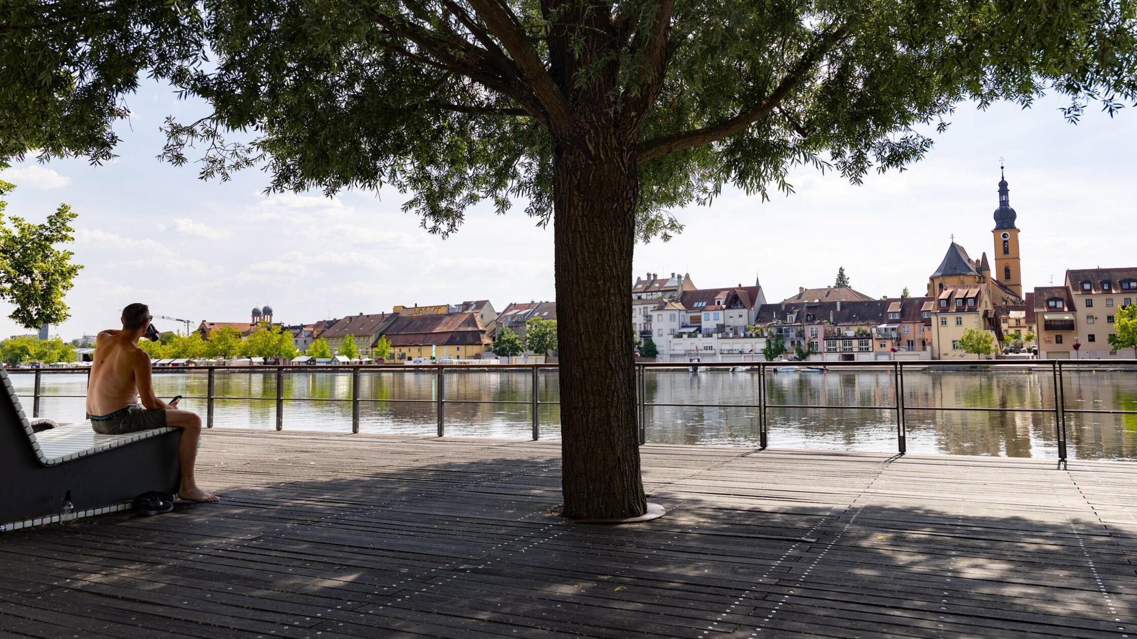Ein schattiges Plätzchen ist im Sommer Gold wert -