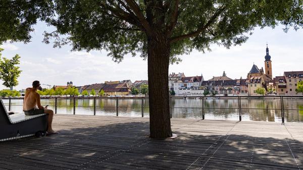Ein schattiges Plätzchen ist im Sommer Gold wert -