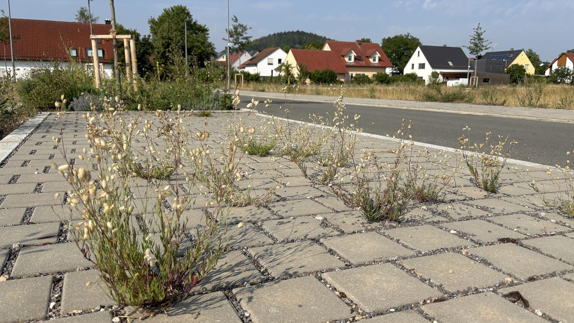 stauf_baugebiet_stadtrat_neumarkt07