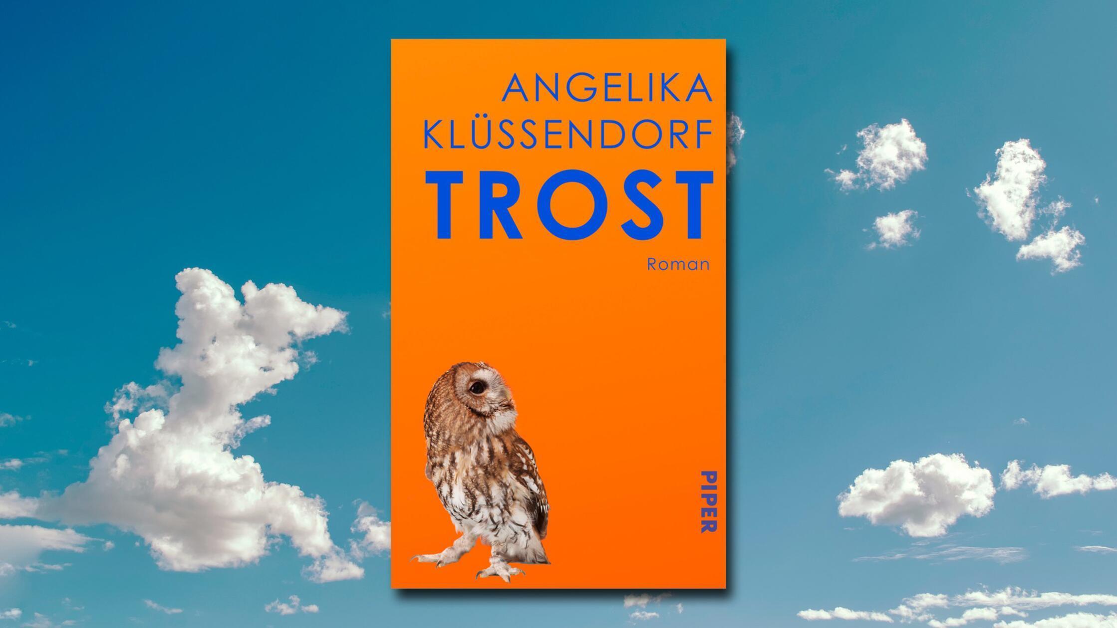 Rita ist der Mensch, um den alle kreisen. Nun liegt sie im Krankenhaus im Koma. Sie wird nicht mehr gesund, so viel ist klar. Und damit stürzt das wacklige Konstrukt zusammen, das sie einst zusammengehalten hat. Familie, Freunde, Nachbarn kommen ins Straucheln, sind ohne Halt. "Trost", so der Titel von Angelika Klüssendorfs neuem Buch, sucht sich schließlich jeder auf seine Weise. In einer überstürzten Beziehung, einem Wort, der Natur. Es ist ein kluger Roman über das Verlassenwerden, über Verlust und Einsamkeit, der auf leise Art dann doch tröstlich wirkt. (Piper, 24 Euro) Gabi Eisenack