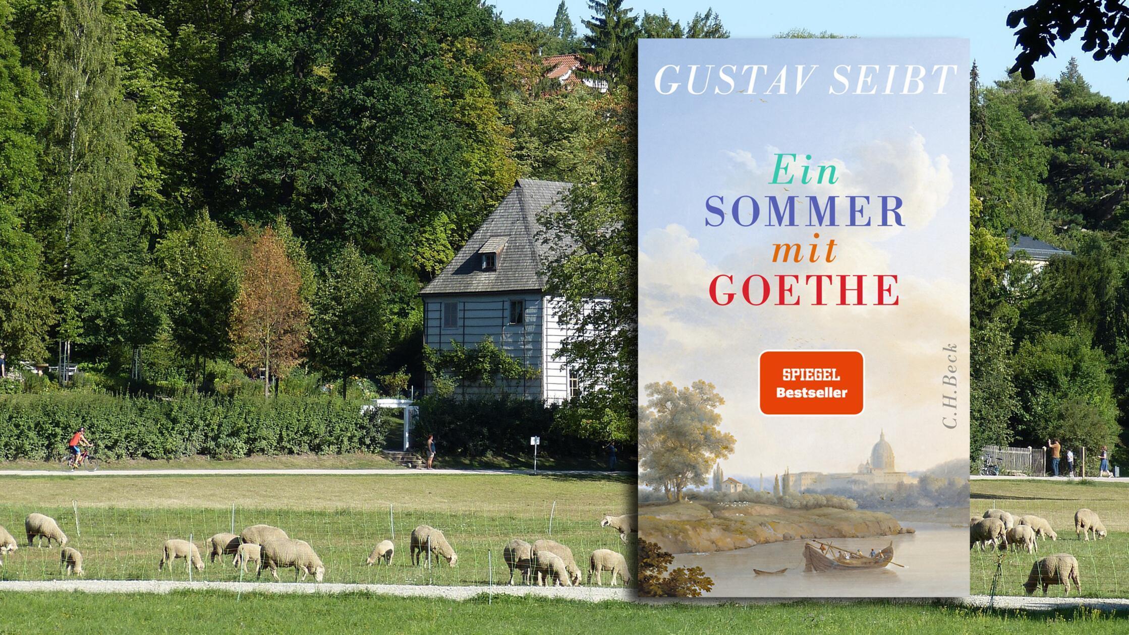 Es sei keine Schande, Goethe nicht gelesen zu haben, meint der Literaturhistoriker Gustav Seibt: „Es ist nur schade.“ Und man kann es ändern, z. B. mit diesem Buch, das jahreszeitlich passend „Ein Sommer mit Goethe“ heißt (Beck, 25 Euro). Schwer belesen, augenzwinkernd und klug führt Seibt in einer Art launigem Sommerkurs durch Werk und Leben des Herrn aus Weimar, streift klassisch Bekanntes ebenso wie Überraschendes aus der Feder des Meisters. Kurzweil mit Gewinn. Übrigens ging’s ihm nicht anders als uns: „Den ganzen Tag fleißig und still wegen der Hitze…“ Bernd Noack