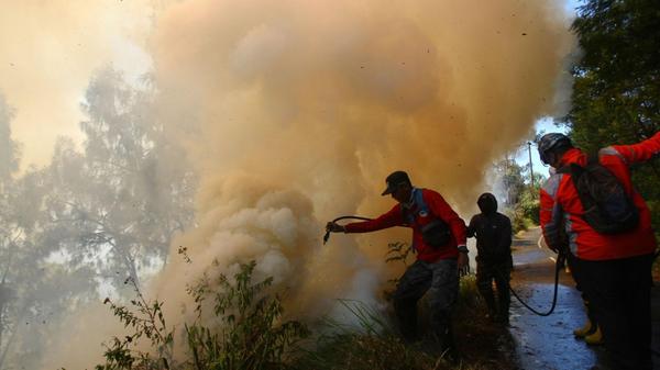 Feuerwehrleute bekämpfen einen Waldbrand im Bromo-