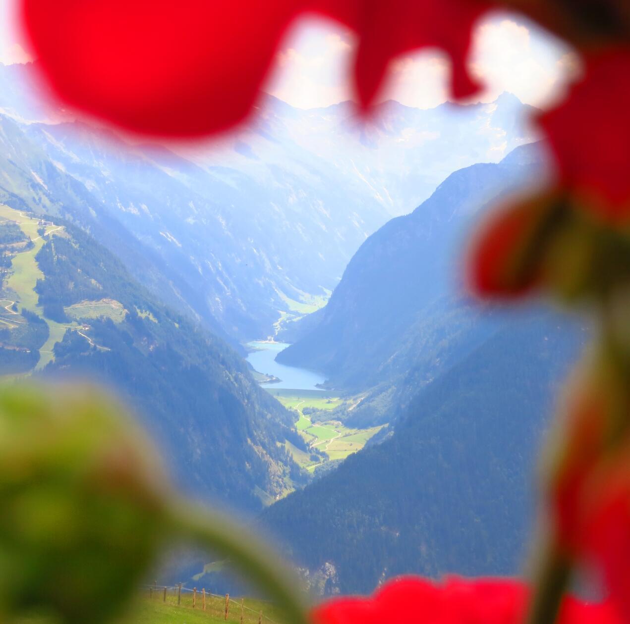 Toller Blick in ein Seitental.