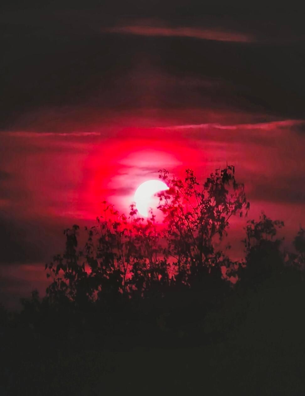 So schön sah die partielle Sonnenfinsternis im Landkreis Neumarkt aus.