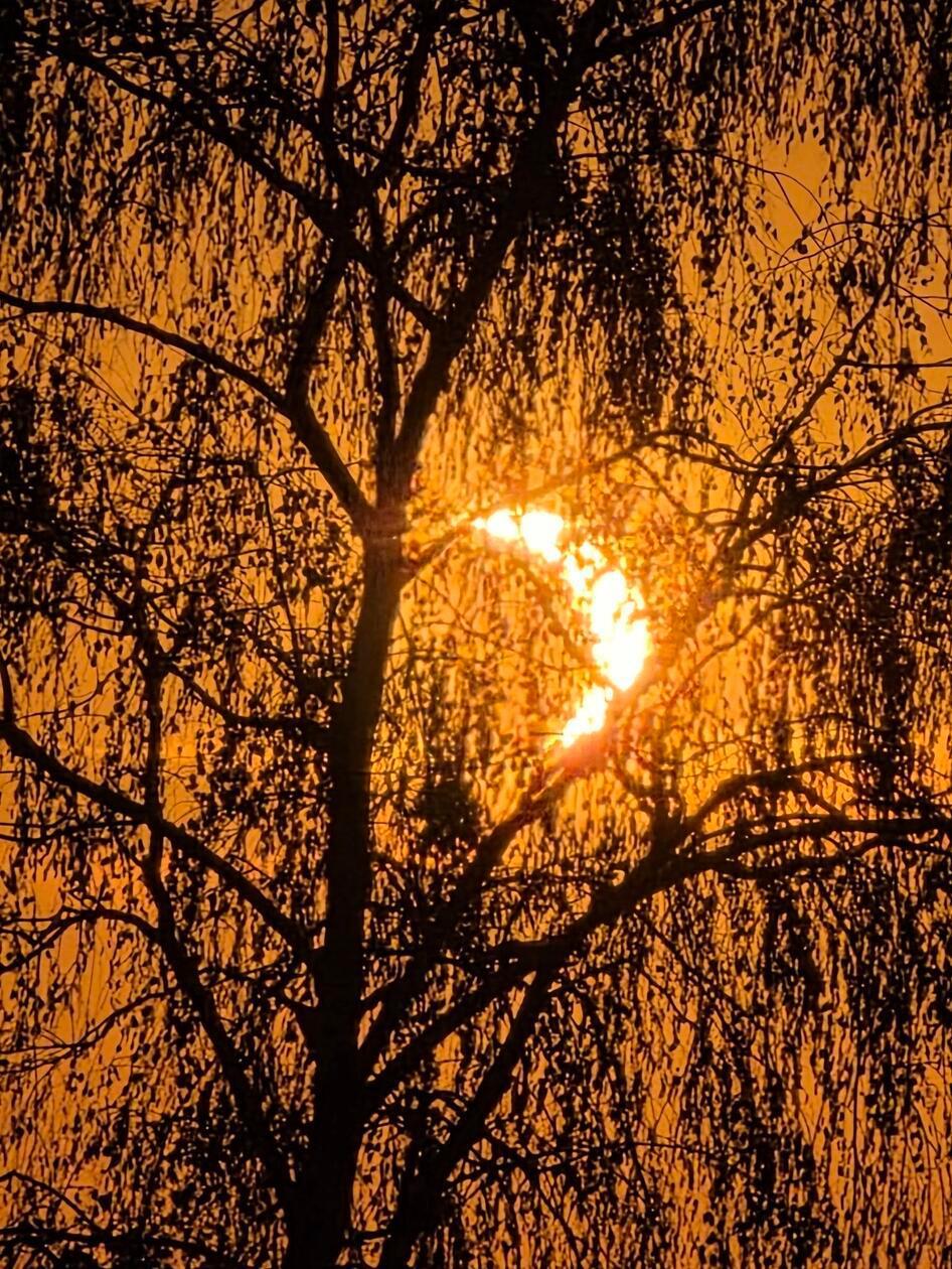 So schön sah die partielle Sonnenfinsternis im Landkreis Neumarkt aus.
