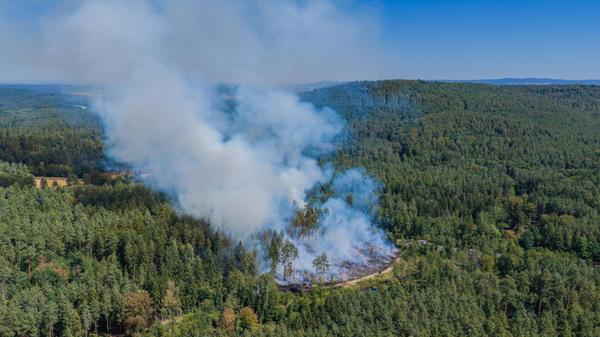 Waldbrand in Oberfranken: Mehrere tausend Quadratm