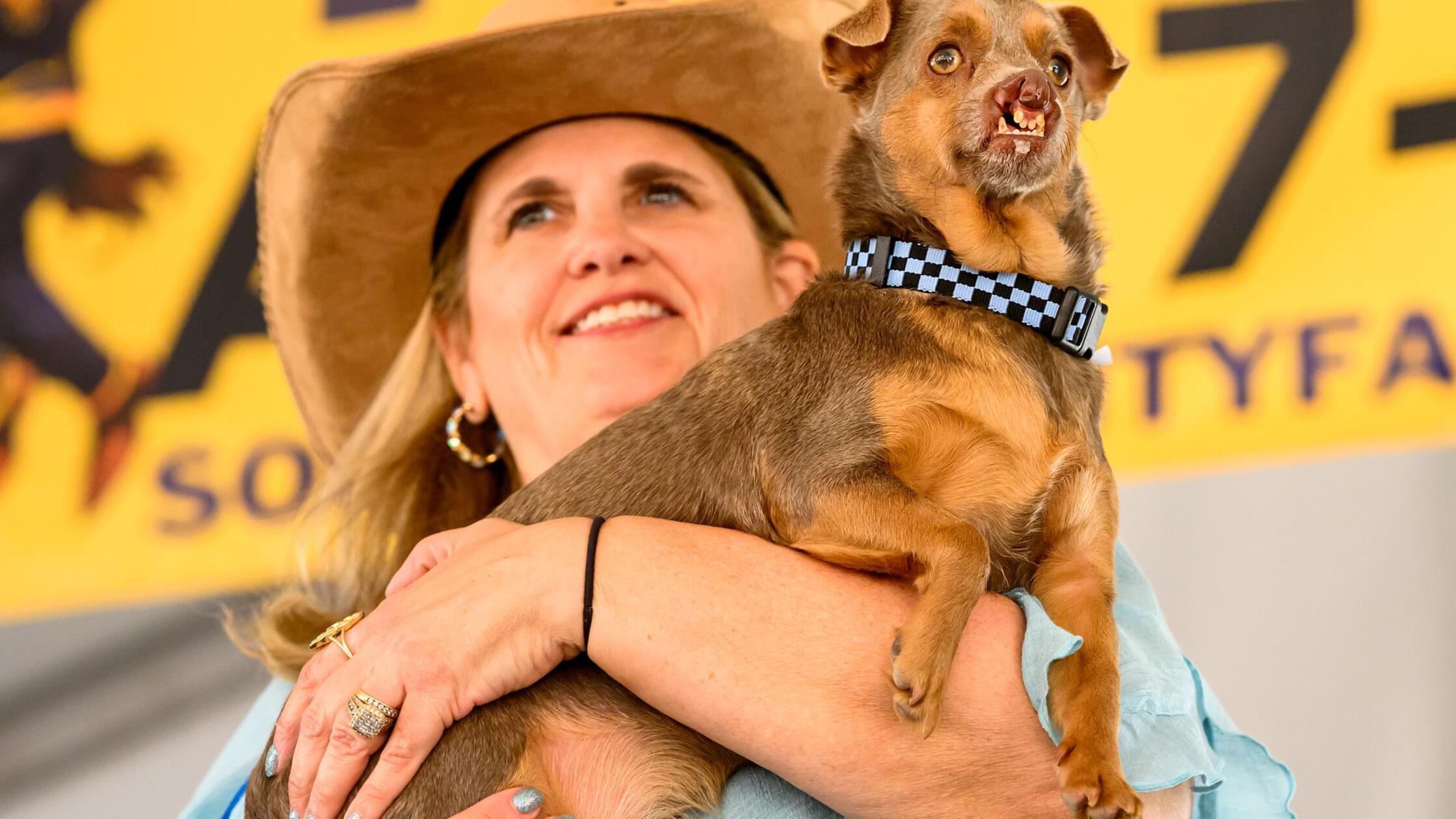 Der Chihuahua-Mischling Otto, im Arm seiner Besitz