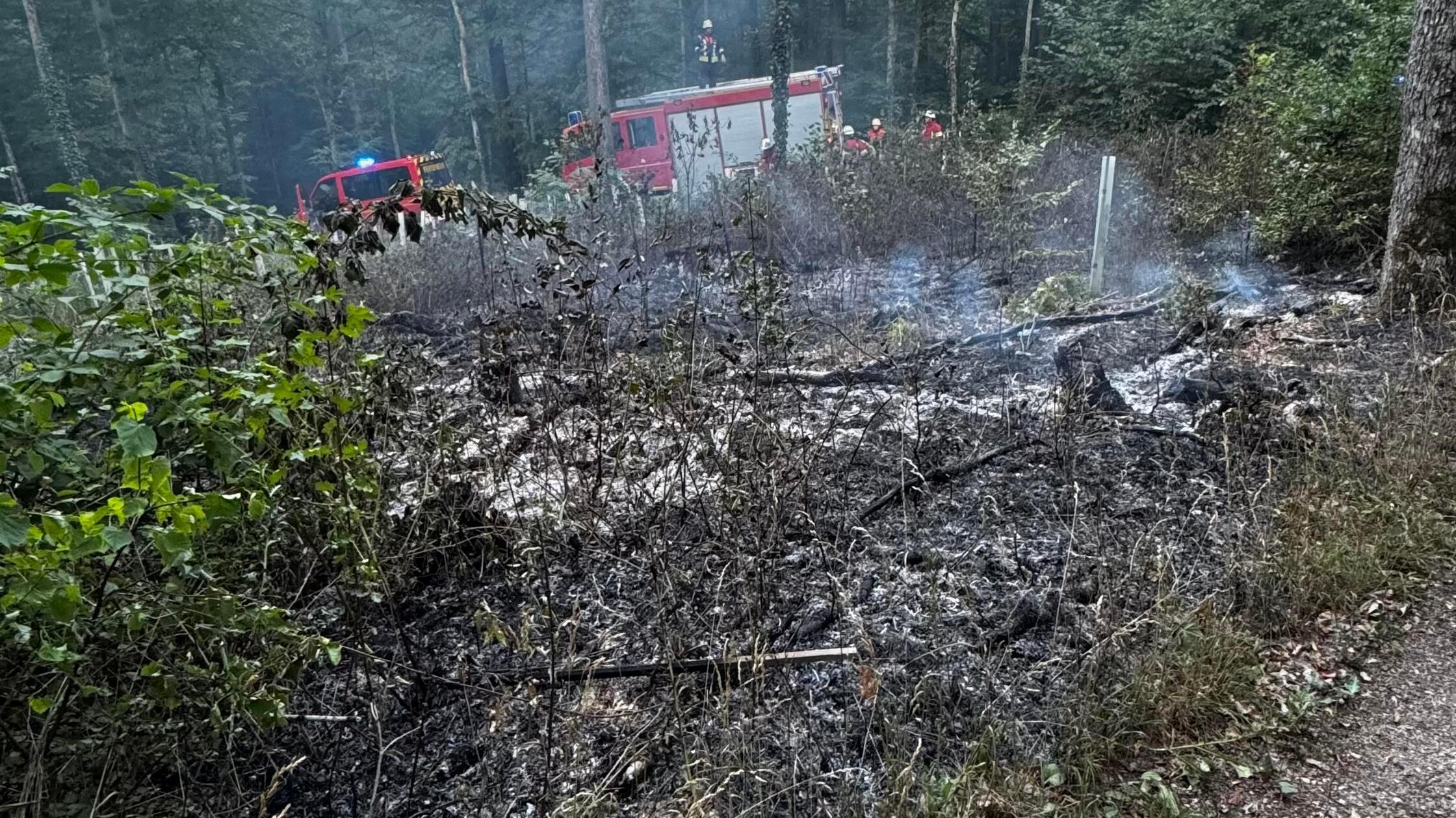 FFW Gunzenhausen Brand Burgstallwald 2026