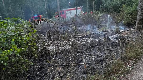 FFW Gunzenhausen Brand Burgstallwald 2026