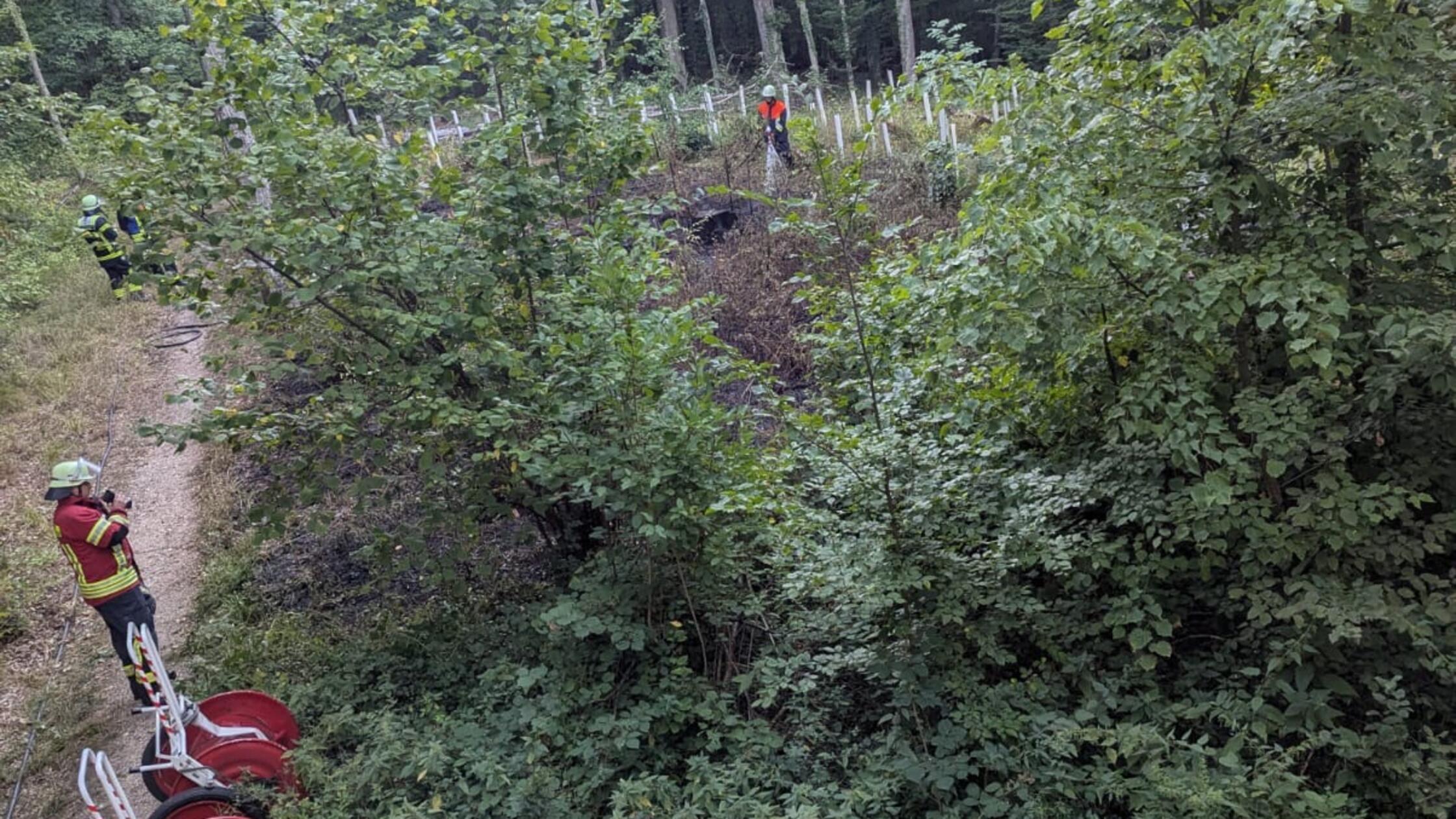 FFW Gunzenhausen Brand Burgstallwald 2026