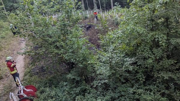 FFW Gunzenhausen Brand Burgstallwald 2026