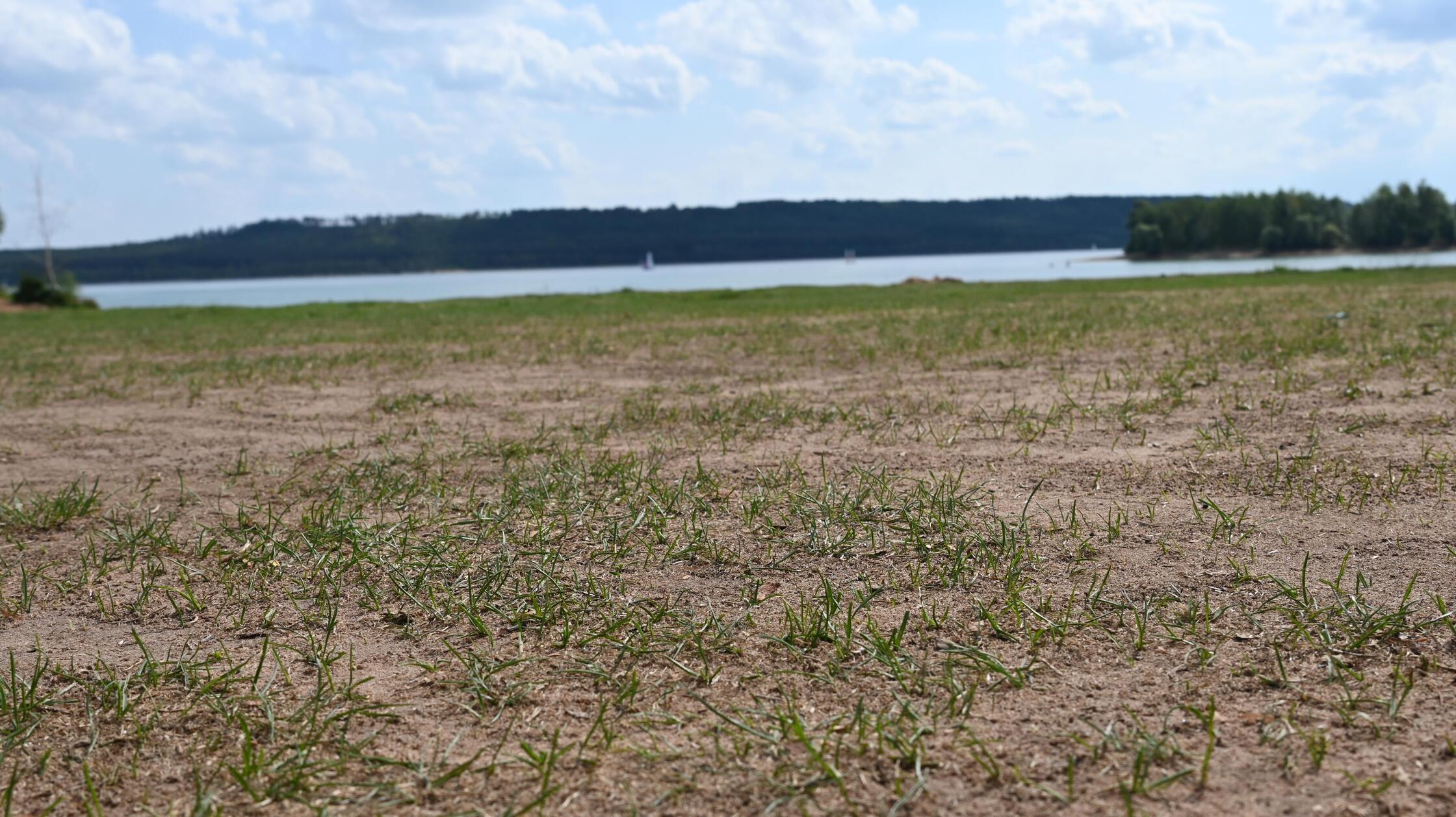 Seit Wochen ist es in Bayern vielerorts zu trocken. Die Grashalme hinter dem Strand von Enderndorf am Großen Brombachsee haben länger kein Wasser mehr gesehen. Nun könnte sich die Lage zumindest etwas entspannen: Nachdem es am Sonntag bereits in einigen Regionen geregnet hat, werden für diese Woche erneut mildere Temperaturen und Regen erwartet.