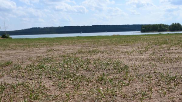 Seit Wochen ist es in Bayern vielerorts zu trocken. Die Grashalme hinter dem Strand von Enderndorf am Großen Brombachsee haben länger kein Wasser mehr gesehen. Nun könnte sich die Lage zumindest etwas entspannen: Nachdem es am Sonntag bereits in einigen Regionen geregnet hat, werden für diese Woche erneut mildere Temperaturen und Regen erwartet.
