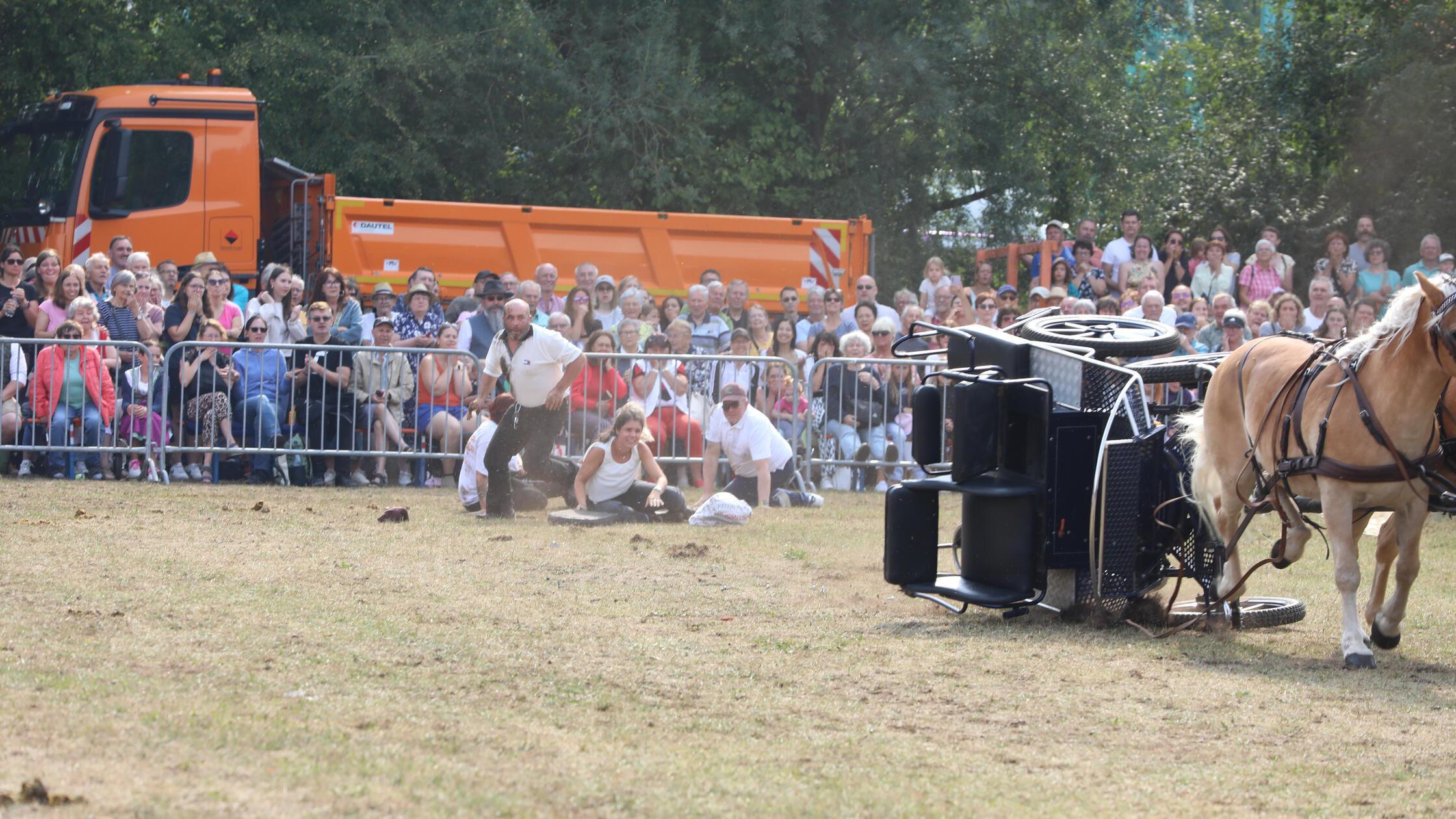 Unfall Pferde- und Fohlenschau Neumarkt Volksfest
