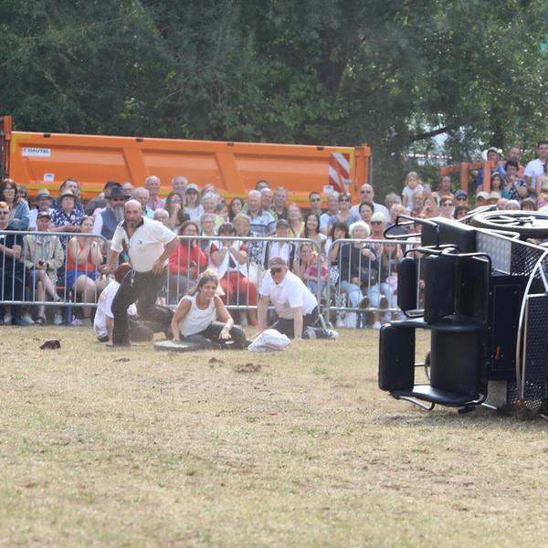 Unfall Pferde- und Fohlenschau Neumarkt Volksfest