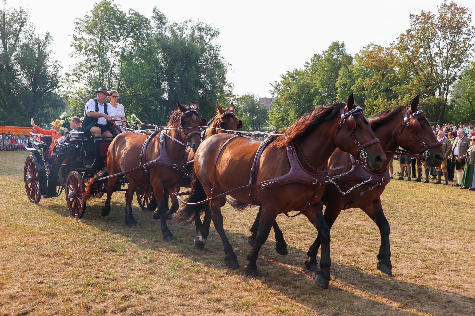 Am Montagmorgen fand traditionell am letzten Tag des Jura Volksfestes die Pferde- und Fohlenschau statt. Zahlreiche Pferdebegeisterte zog es zum Festgelände in Neumarkt.