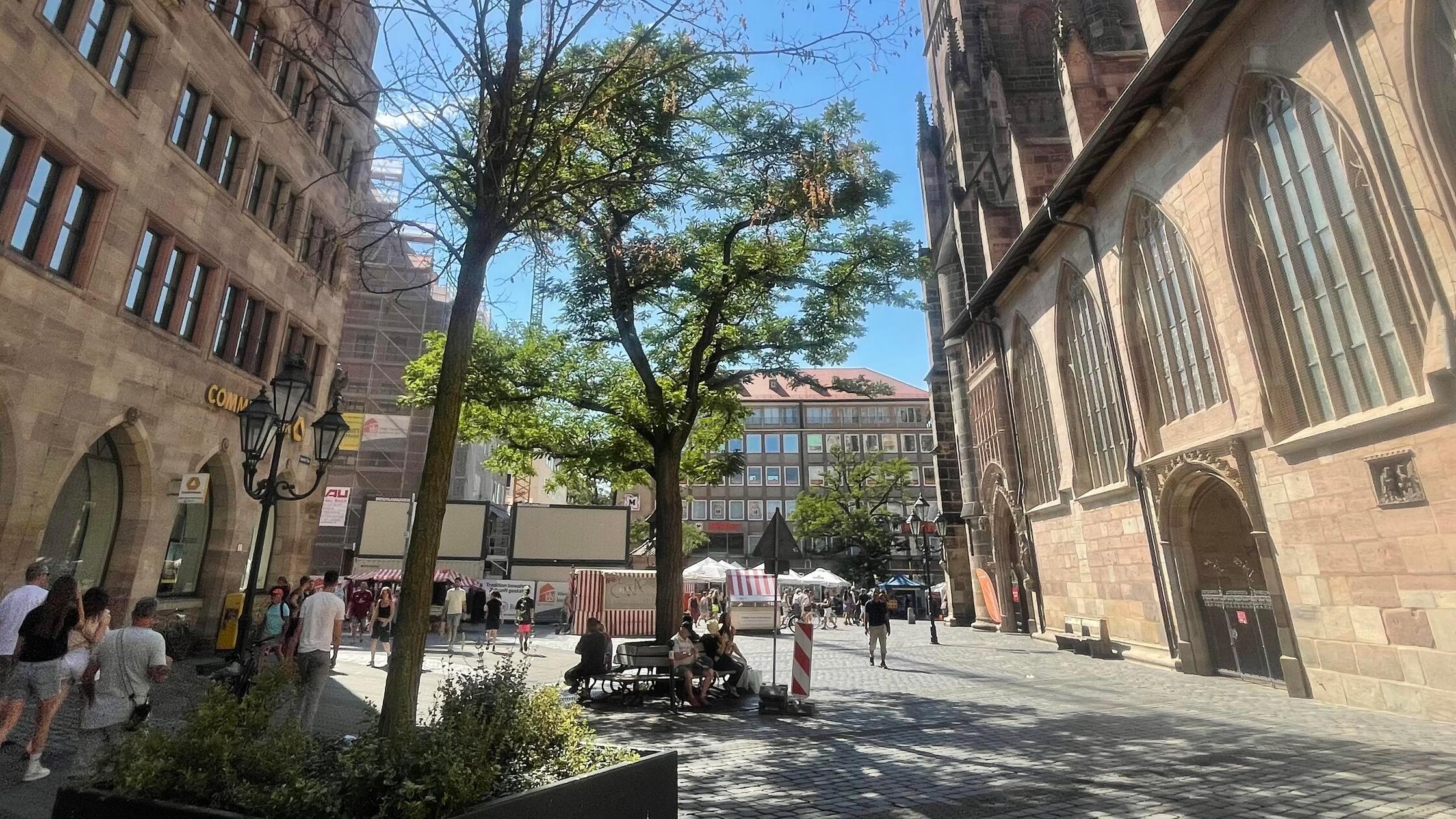Bäume