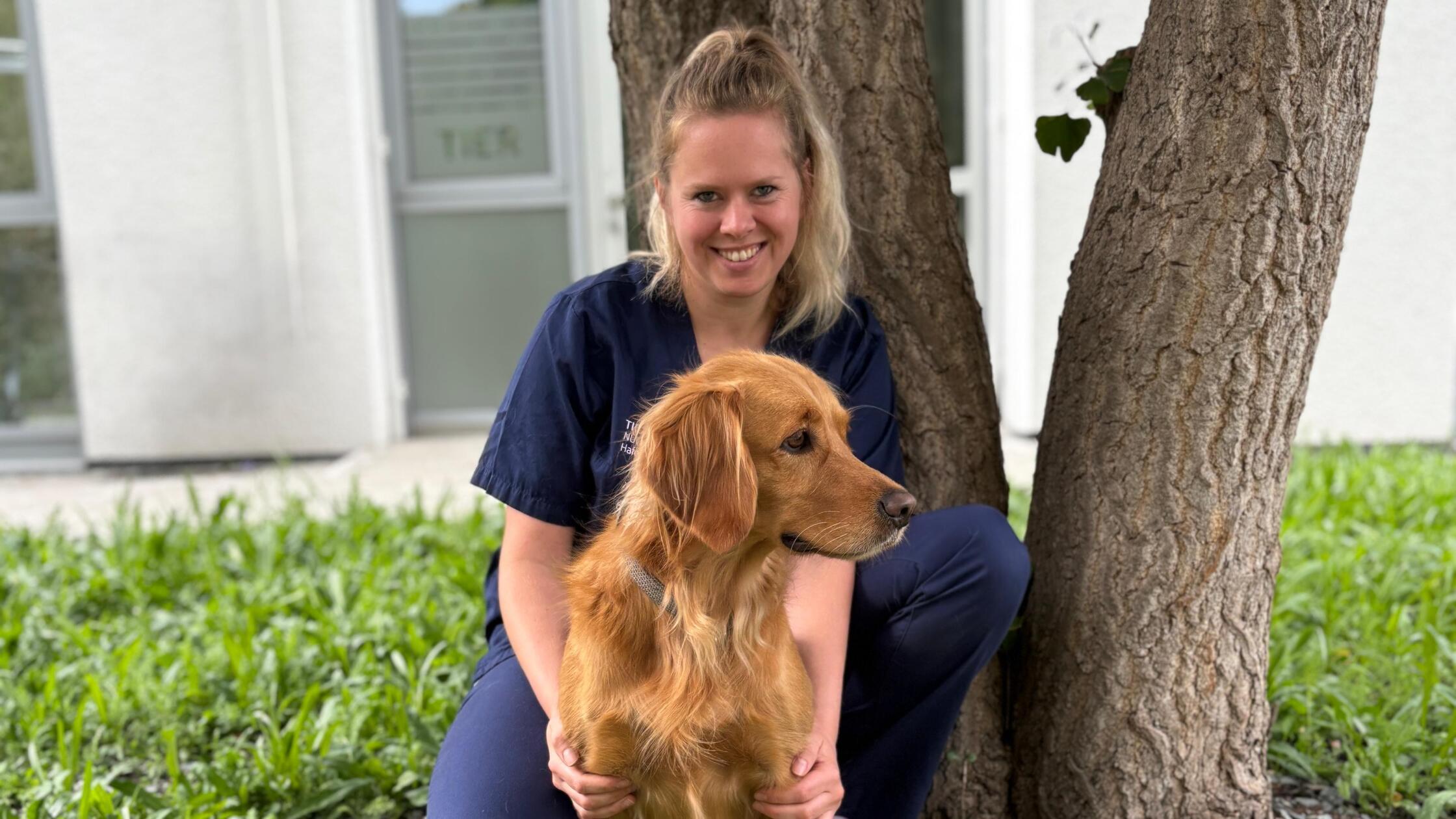 Dog dies after tick bite in Nuremberg: A veterinarian's advice to all ...
