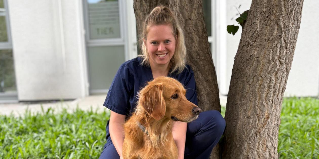 Dog dies after tick bite in Nuremberg: A veterinarian's advice to all ...