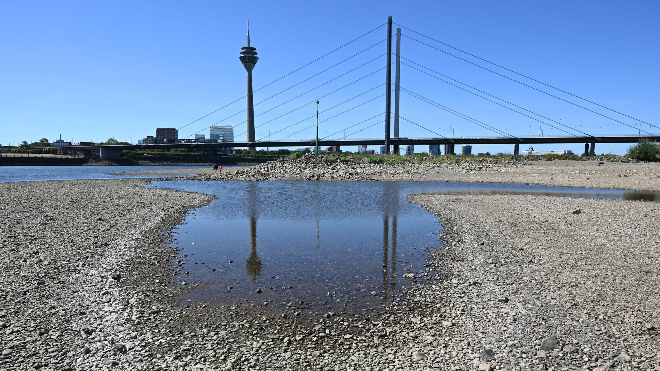 Der Rheinturm spiegelt sich bei niedrigem Wasserst