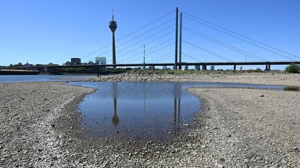 Der Rheinturm spiegelt sich bei niedrigem Wasserst