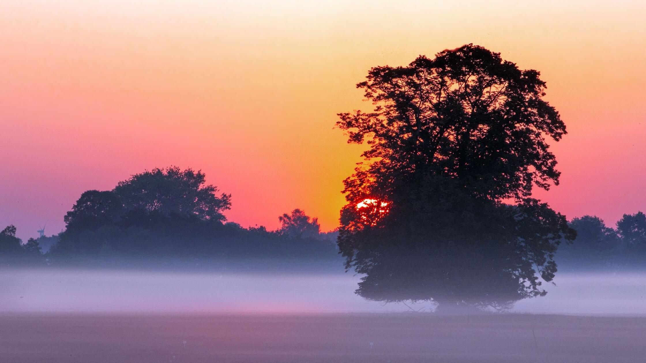 Die Sonne geht im Morgennebel hinter einem Feld au