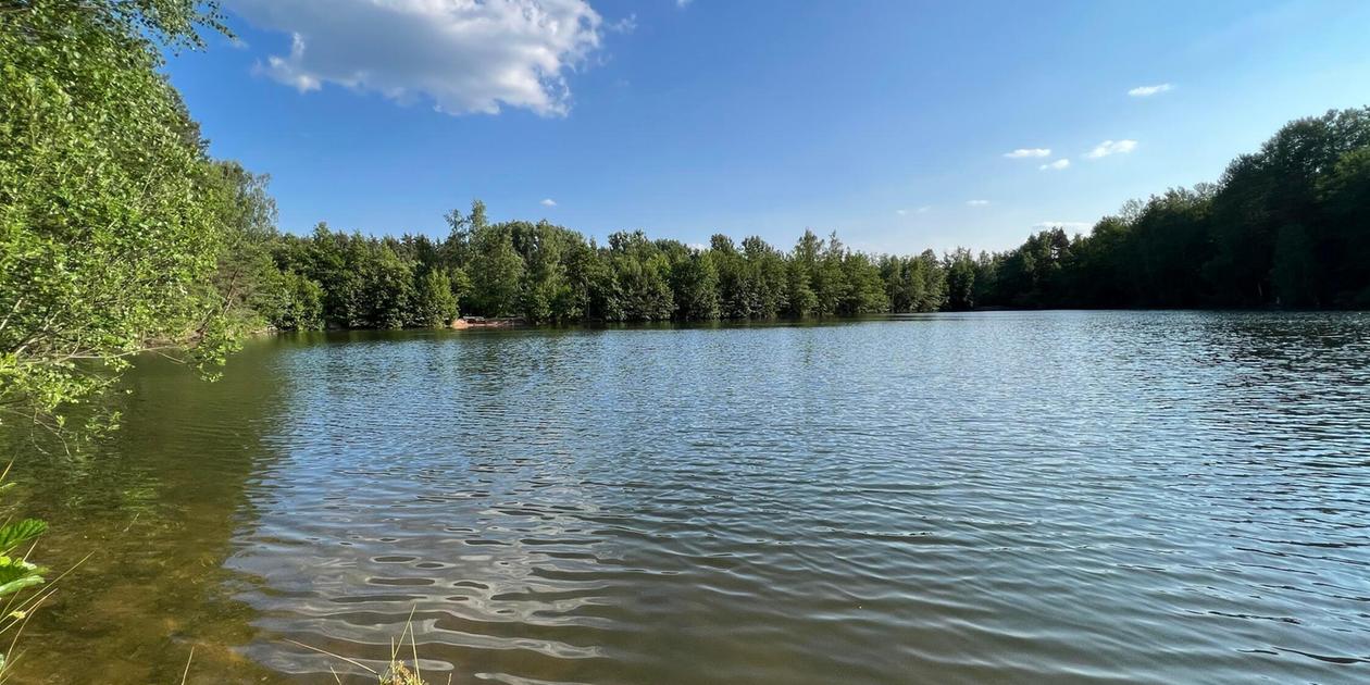 Wasserqualität im Jägersee: Landkreis Roth empfiehlt Badebeschränkung