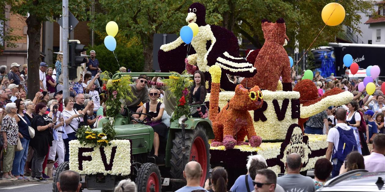 Wagen mit fast 450.000 Dahlien beim Röthenbacher Blumenfest – Schulen ...