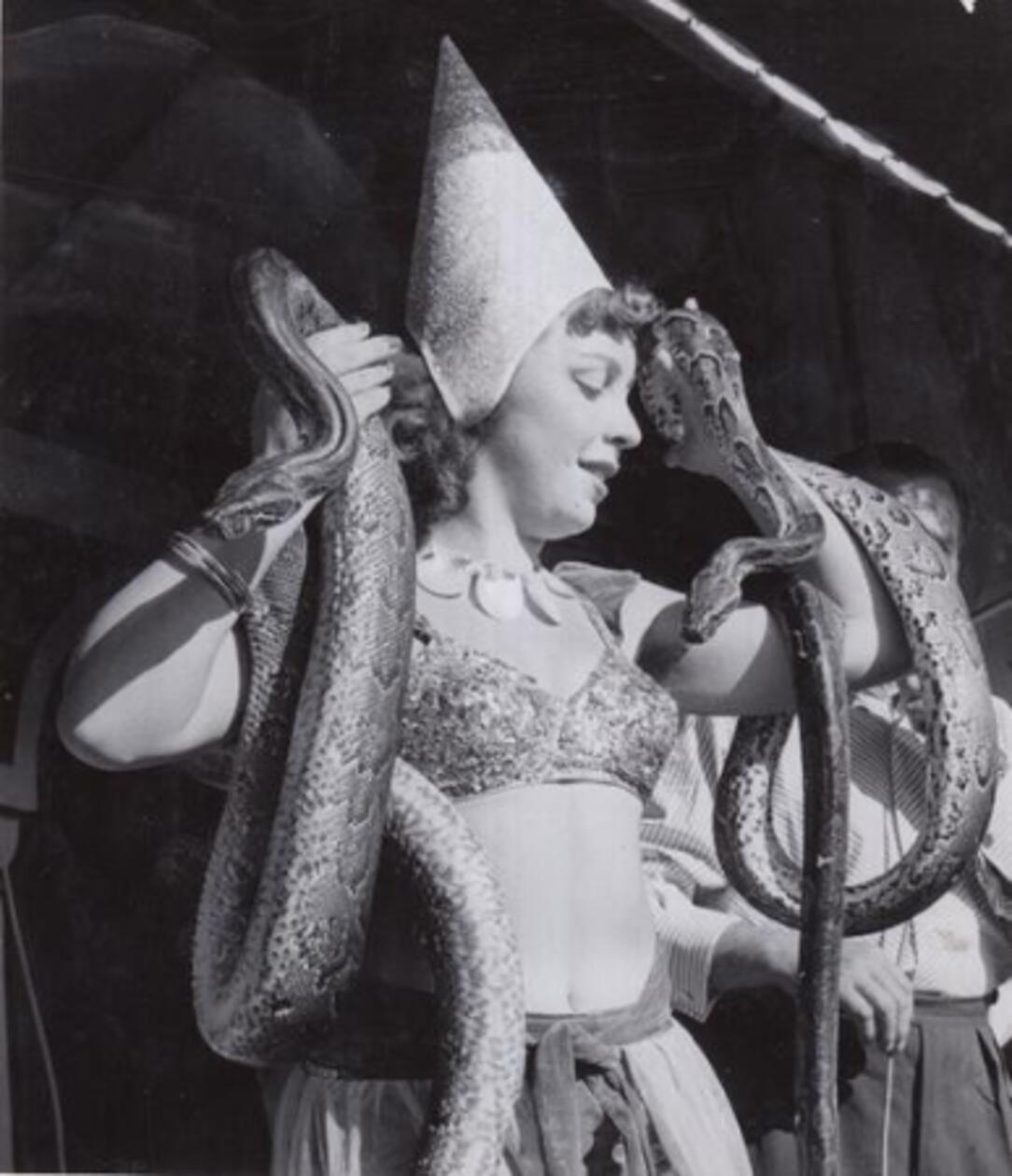 "Kaltlächelnd umgibt sich die orientalische Schönheit mit zwei ausgewachsenen Riesenschlangen - als ob es zahme Kätzchen wären", so beschrieben die Nürnberger Nachrichten Ende August 1958 die neue Reptilienschau auf dem Volksfestplatz.