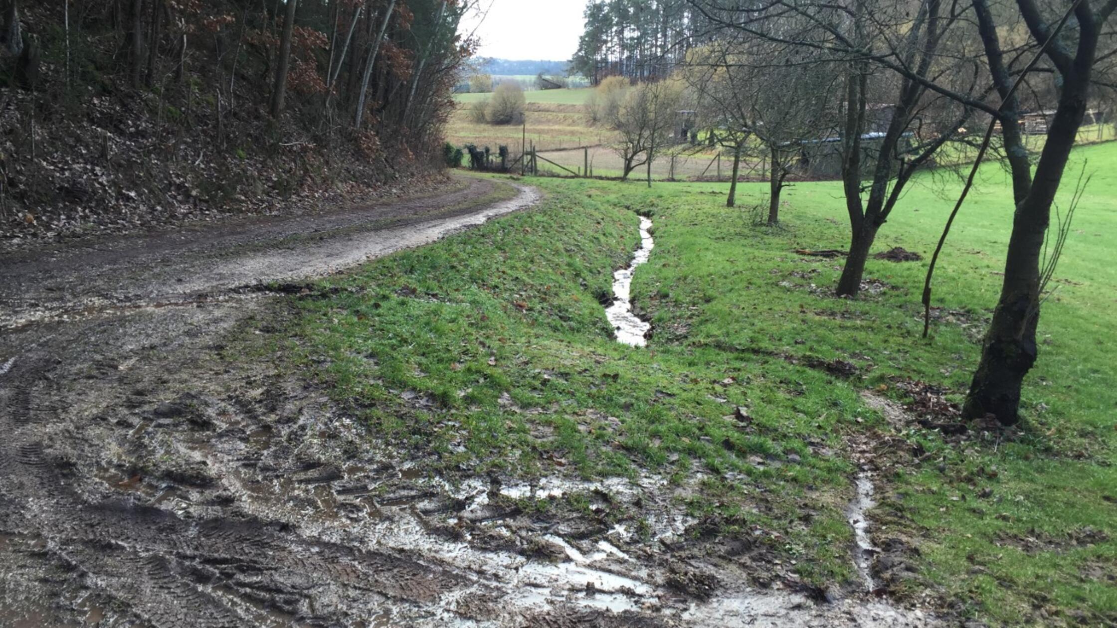 Spalt seeks information on heavy rain: Citizens should report hazardous ...