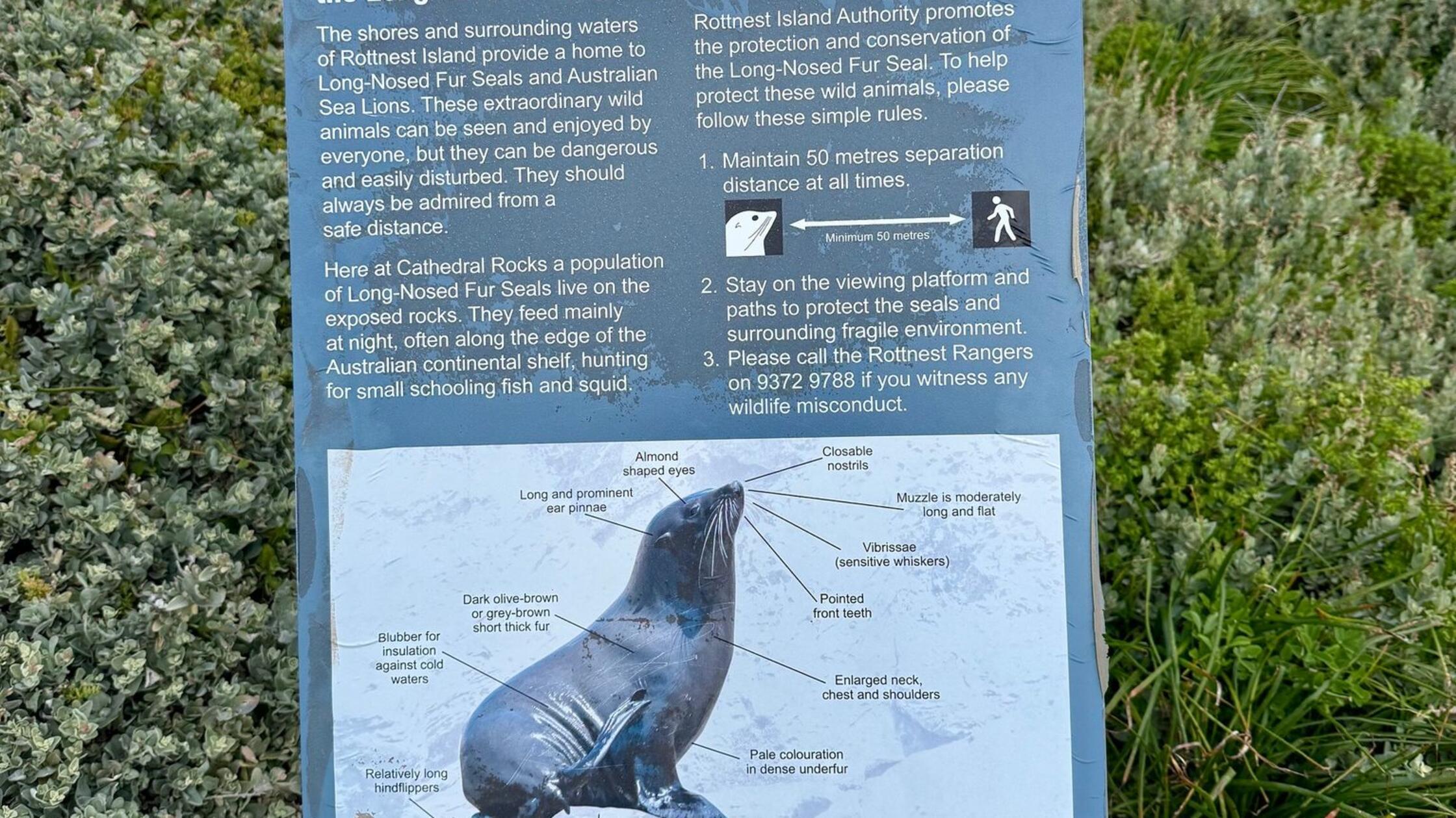 Ein Schild weist auf Rottnest Island in Western Au