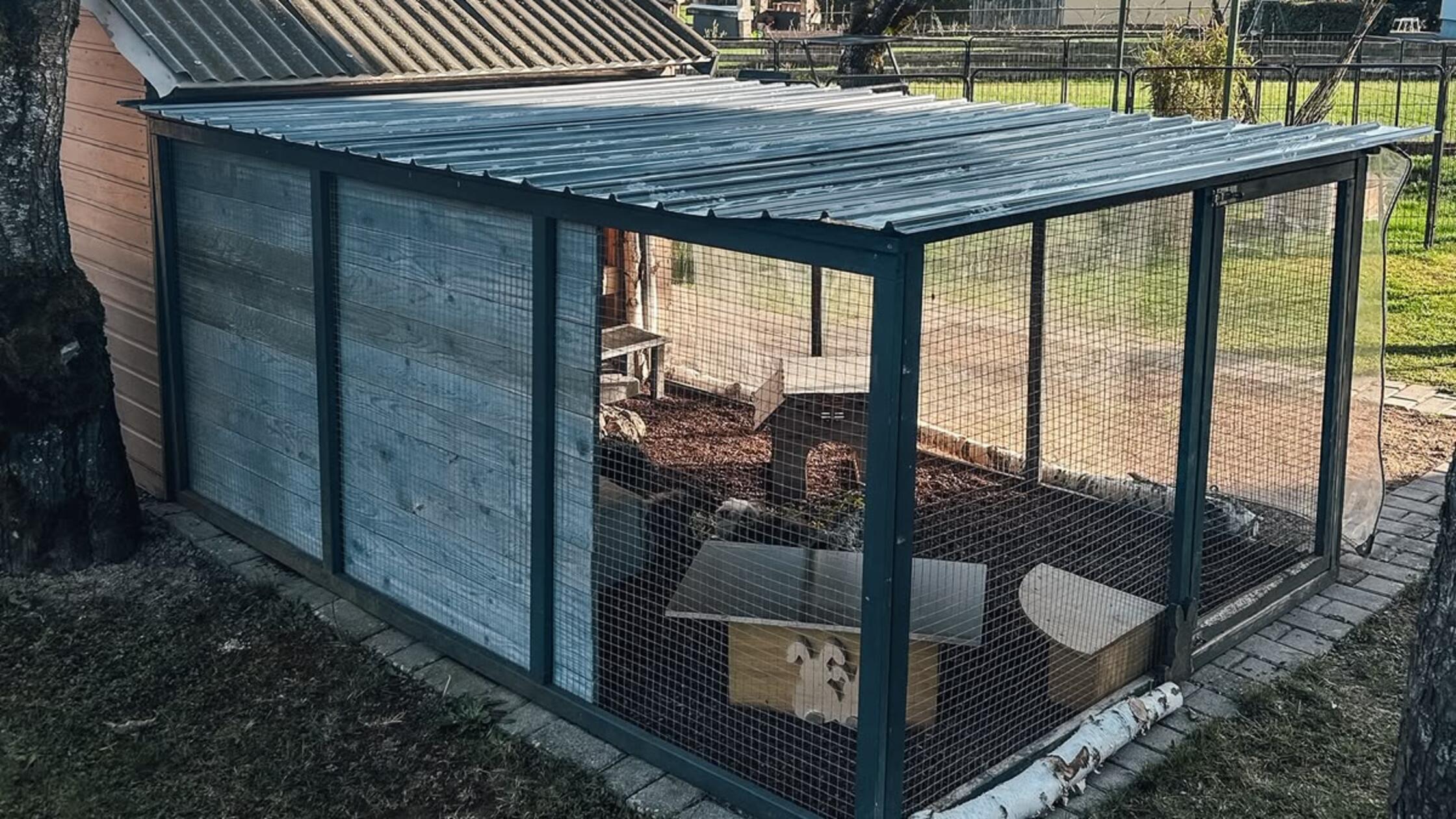 Pflegestelle Schmidgaden Außenhaltung 2