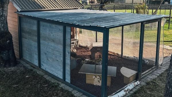 Pflegestelle Schmidgaden Außenhaltung 2