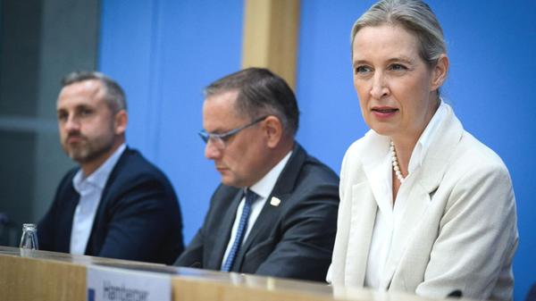 Alice Weidel (r-l) und Tino Chrupalla, die Bundesv