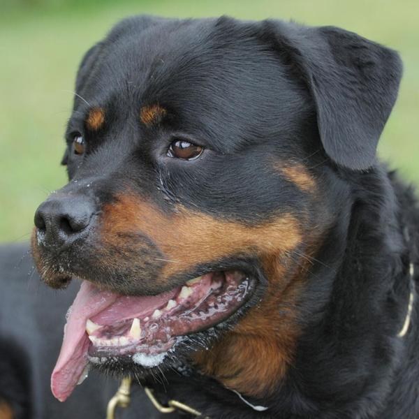 Mehr entdecken