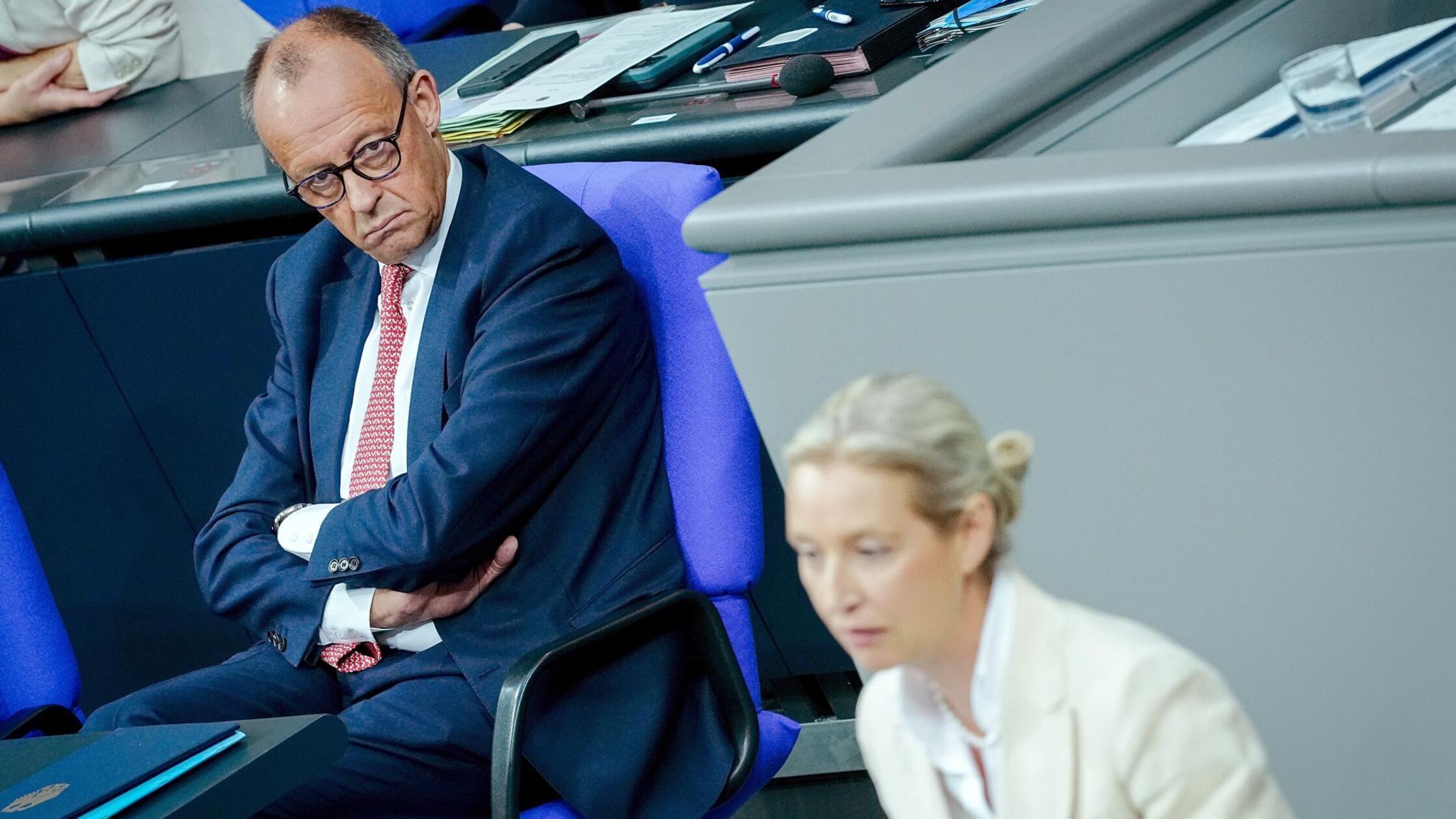Alice Weidel, Fraktionsvorsitzende der AfD, sprich