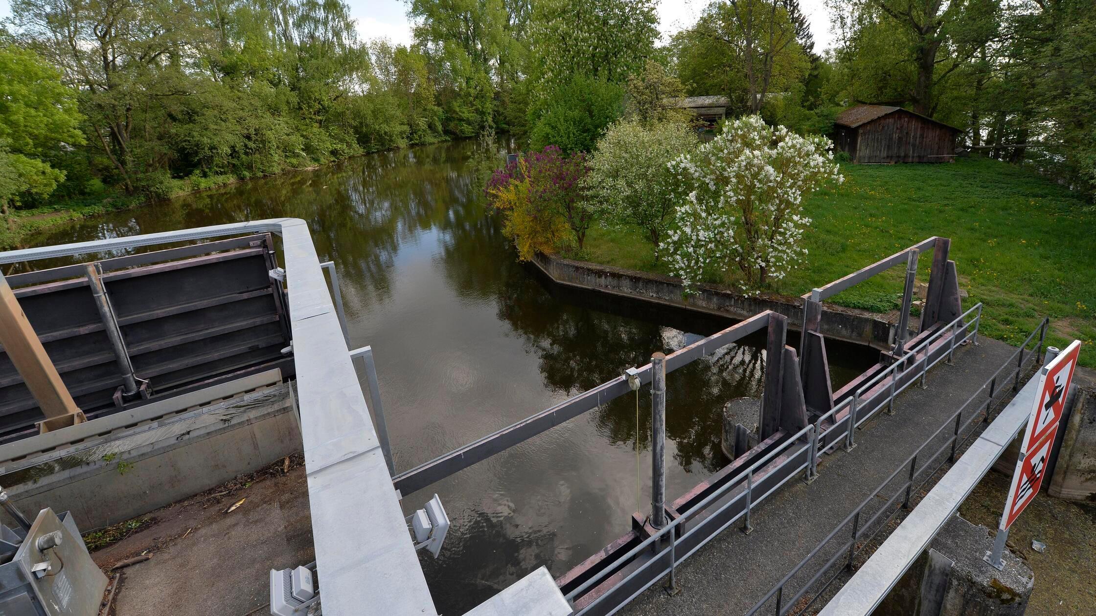 Thalermühle: Regnitz und Naturfreundeinsel