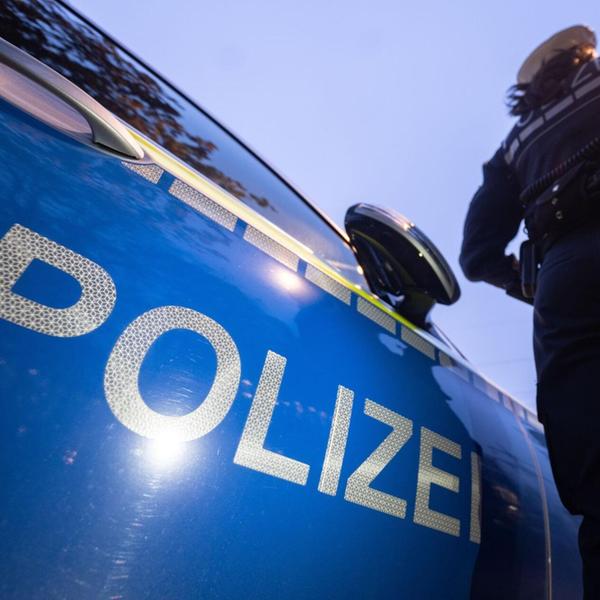 Mehr entdecken