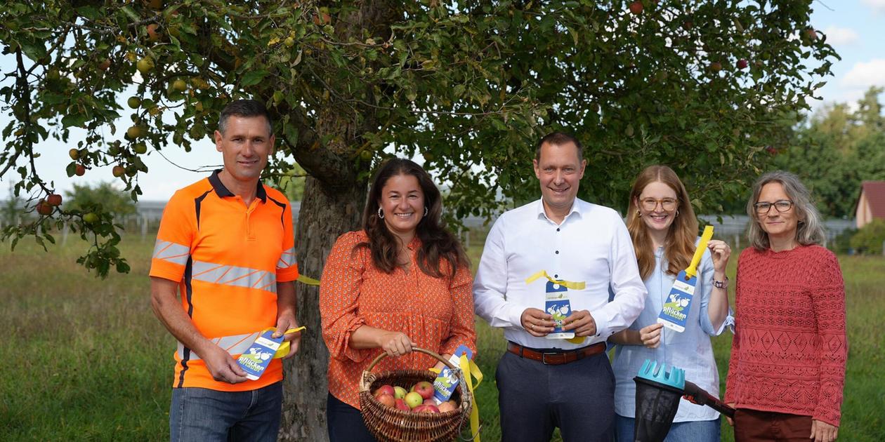 Pflücken erlaubt: Was das Gelbe Band an Obstbäumen im Nürnberger Land ...