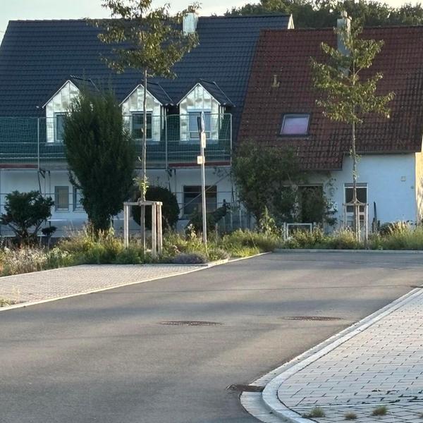 Mehr zum Thema