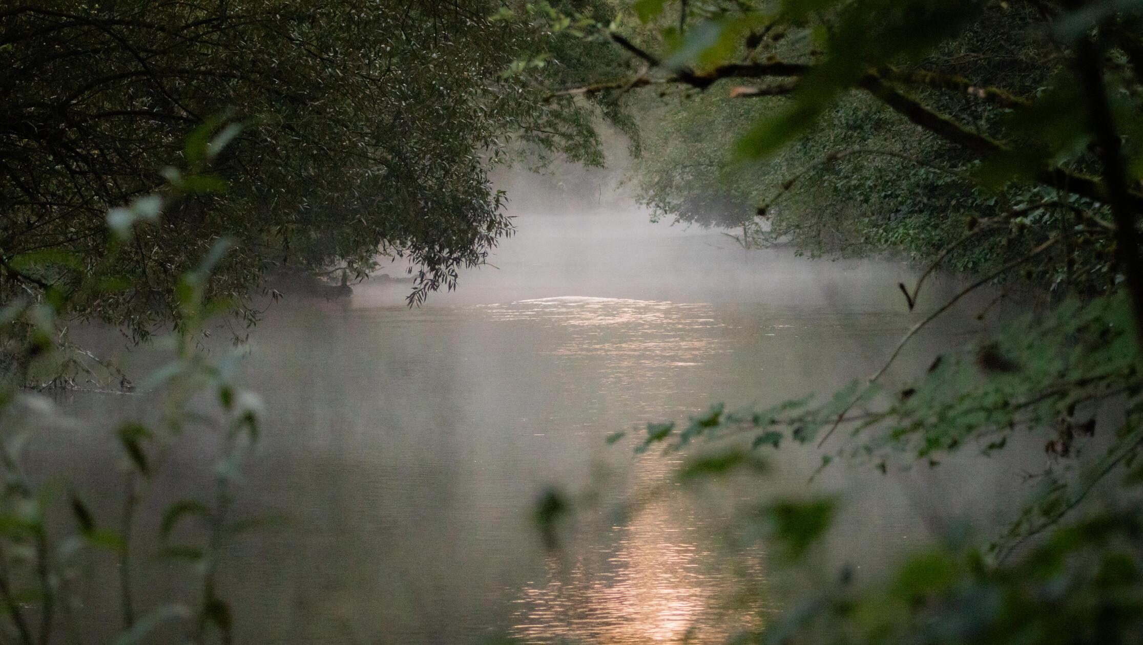 Morgendämmerung: In klaren, kühlen Nächten bildet sich Tiefnebel, wie hier über der Pegnitz.