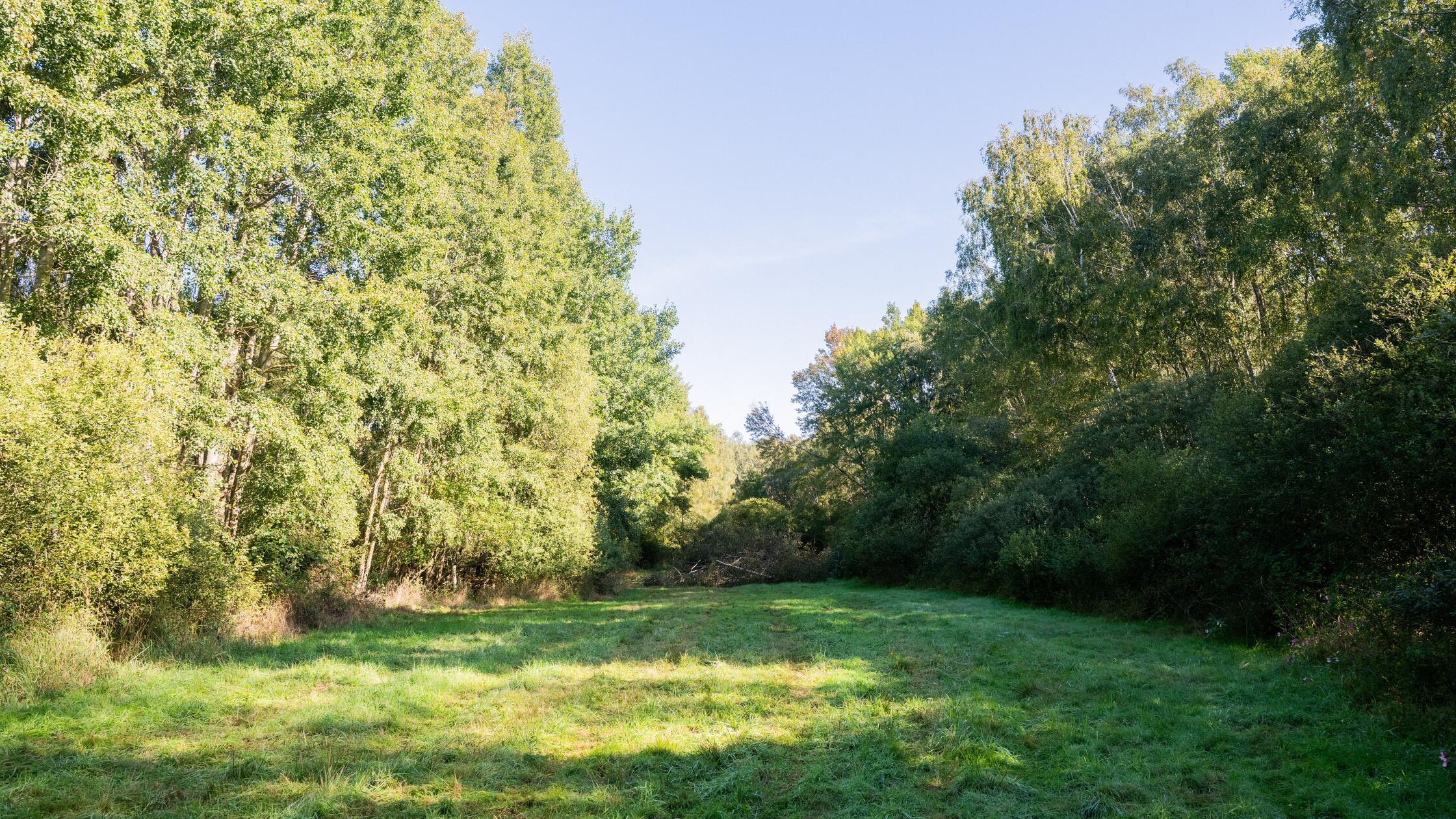 25.09.2026, Niedersachsen, Wunstorf: Blick in ein 