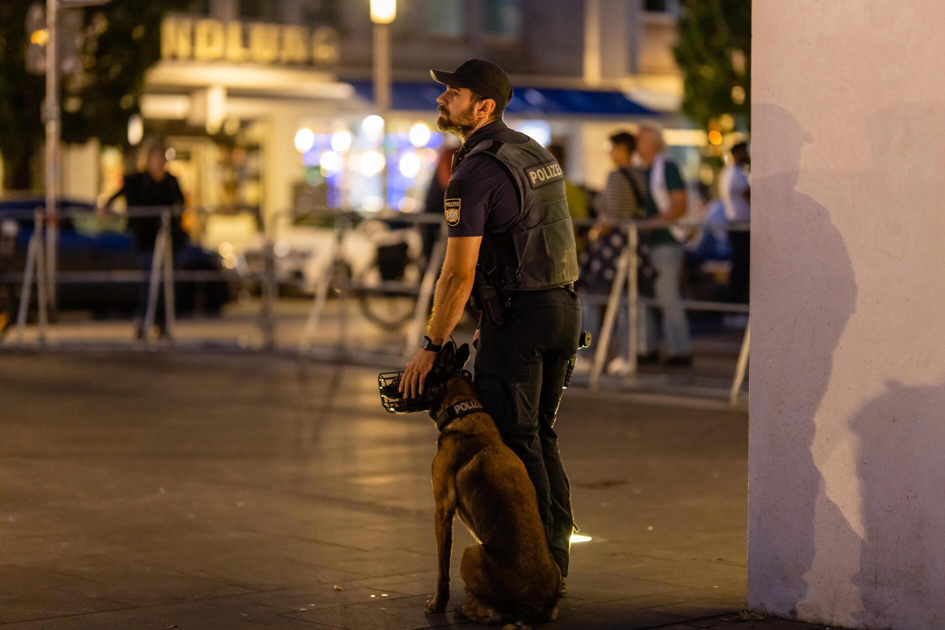 Im unmittelbaren Umfeld fanden zeitgleich mehrere angemeldete Gegenproteste statt. Laut Polizei Mittelfranken nahmen daran rund 200 Personen teil. Um die Teilnehmer der unterschiedlichen politischen Lager voneinander zu trennen, setzte die Polizei an mehreren Orten Sperrgitter ein.
