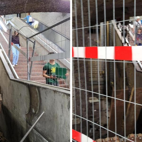 Mehr entdecken