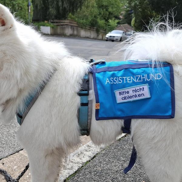 Mehr entdecken