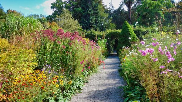 In den „Mount Usher Gardens“ liegt der Schwerpunkt eigentlich auf Bäumen und anderen Sträuchern. Eine „english Border“ mit herrlich blühenden Stauden darf aber nicht fehlen.