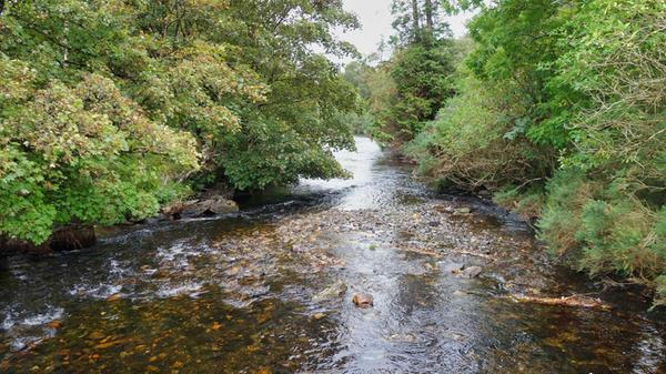 Der Fluss Avonmore zeigt sich nahe des Klosters Glendalough sehr naturbelassen.