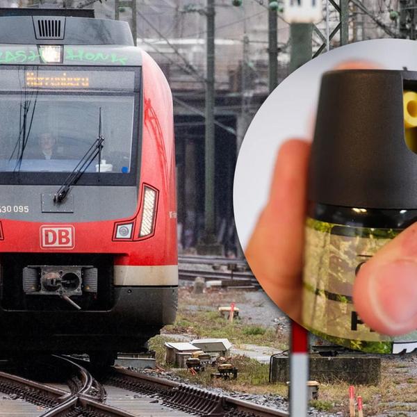 Mehr entdecken