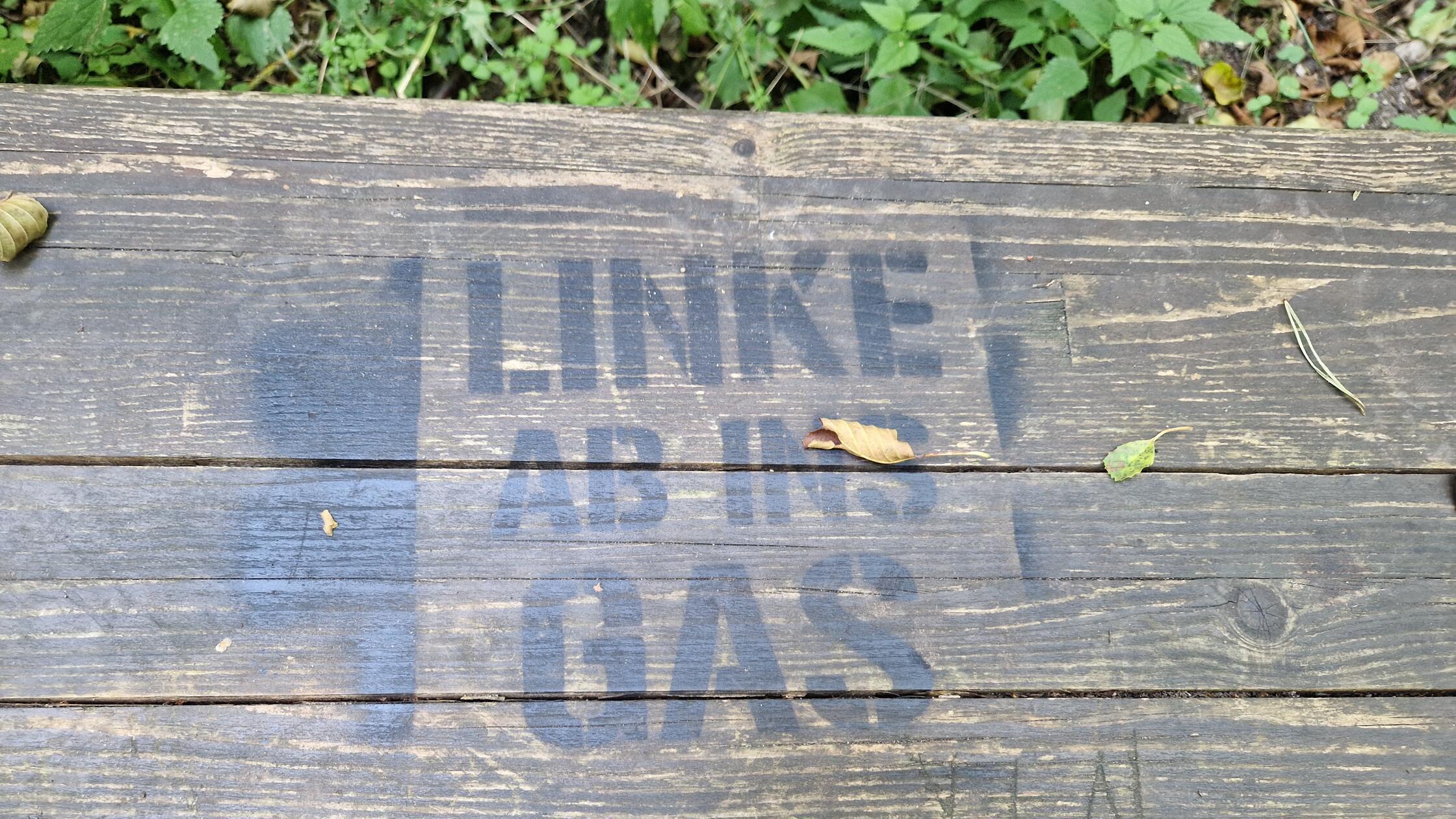 Far-right slogans in Nuremberg's Reichswald forest