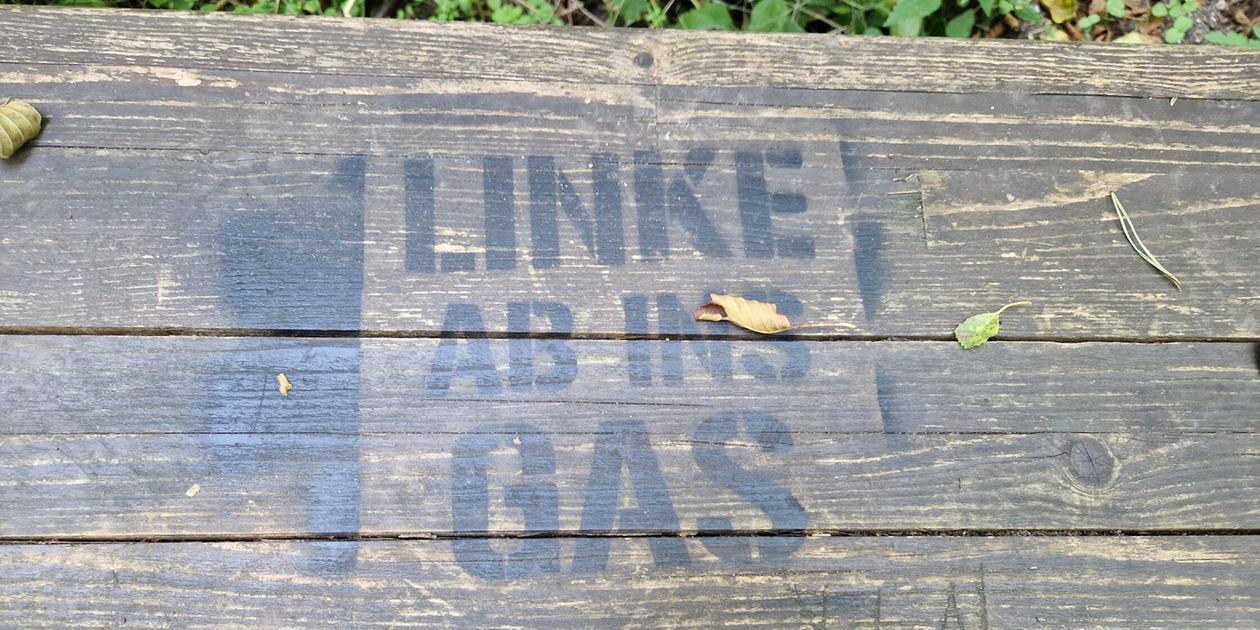 Far-right slogans in Nuremberg's Reichswald forest
